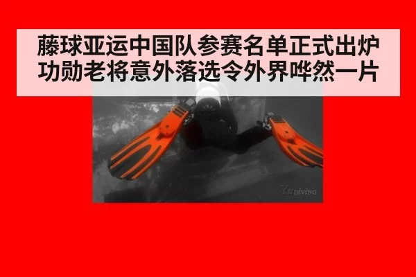 藤球亚运中国队参赛名单正式出炉功勋老将意外落选令外界哗然一片