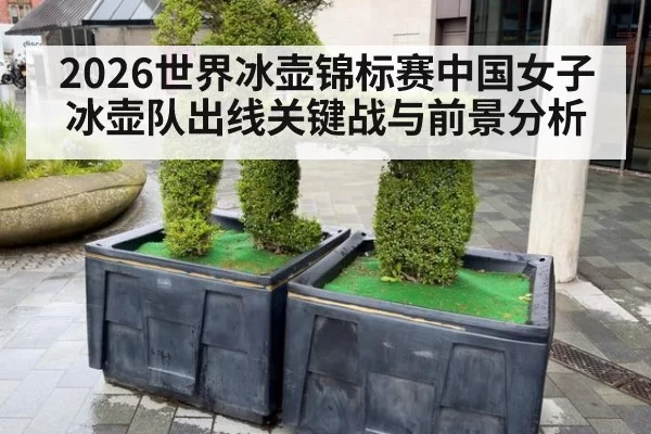 2026世界冰壶锦标赛中国女子冰壶队出线关键战与前景分析